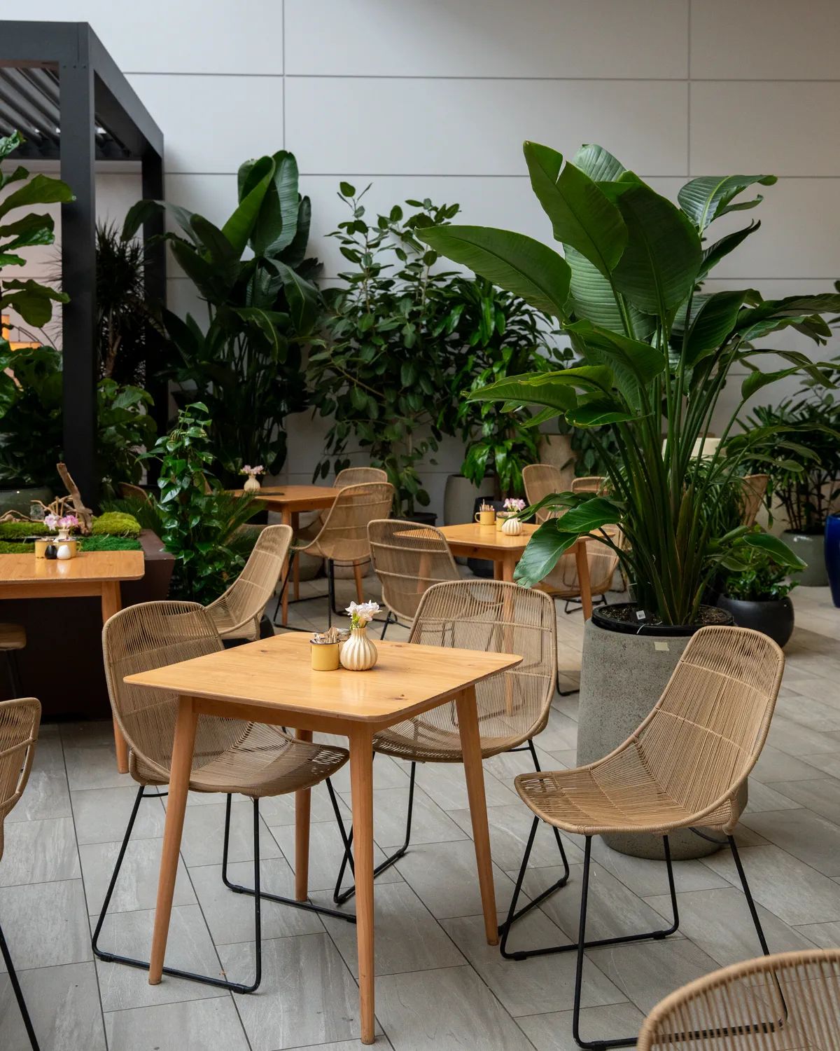 Zona de mesas de The Pots Cafe entre plantas