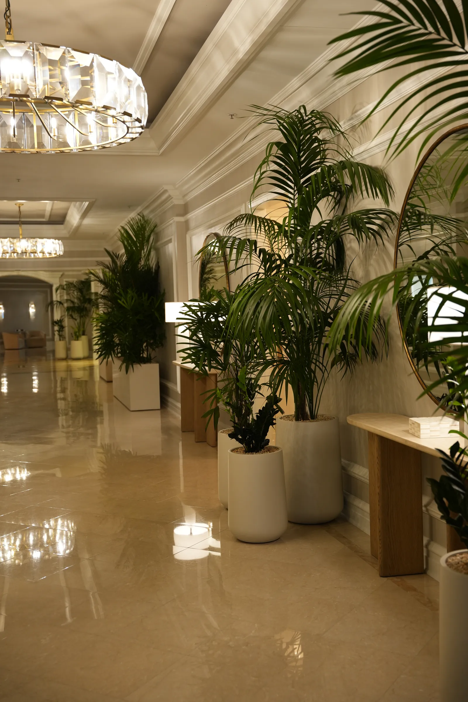 Instalación biofílica en un hotel premium