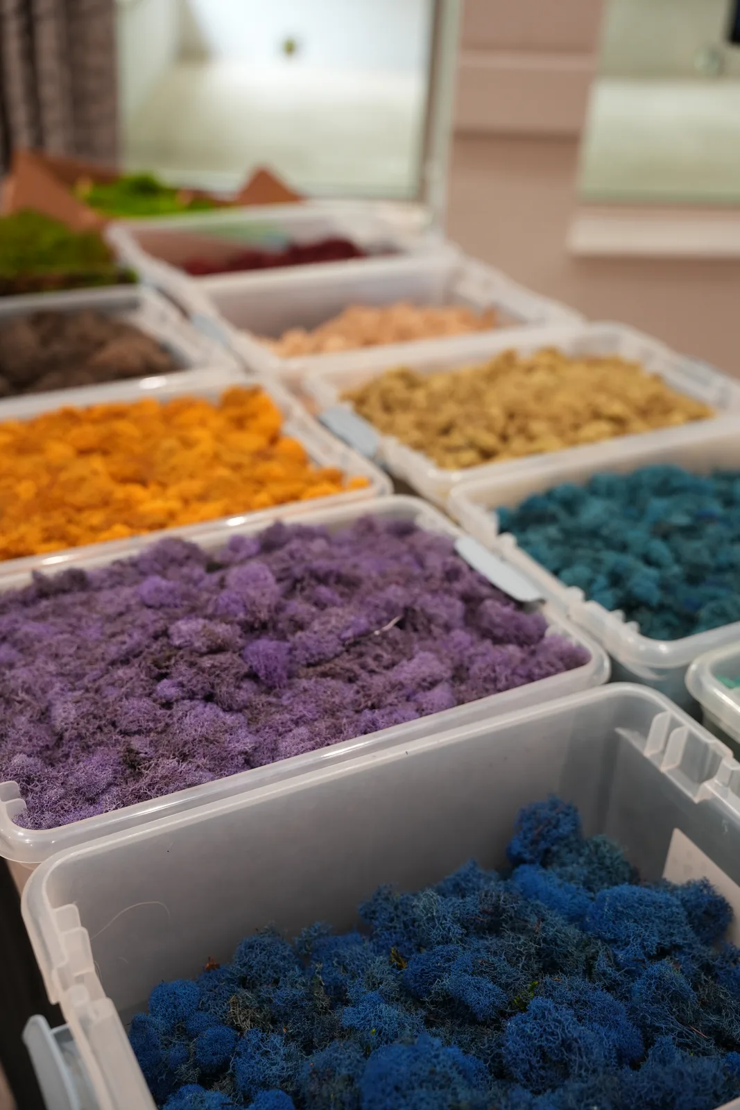 La mesa de musgos y follaje preservado, por color